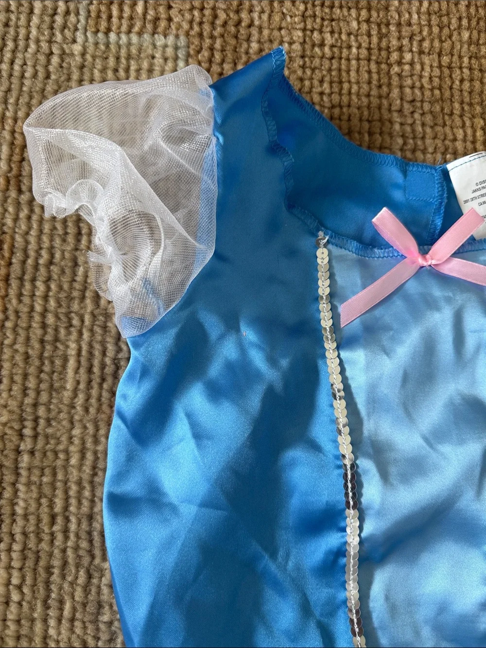 Cinderella Two Piece Costume